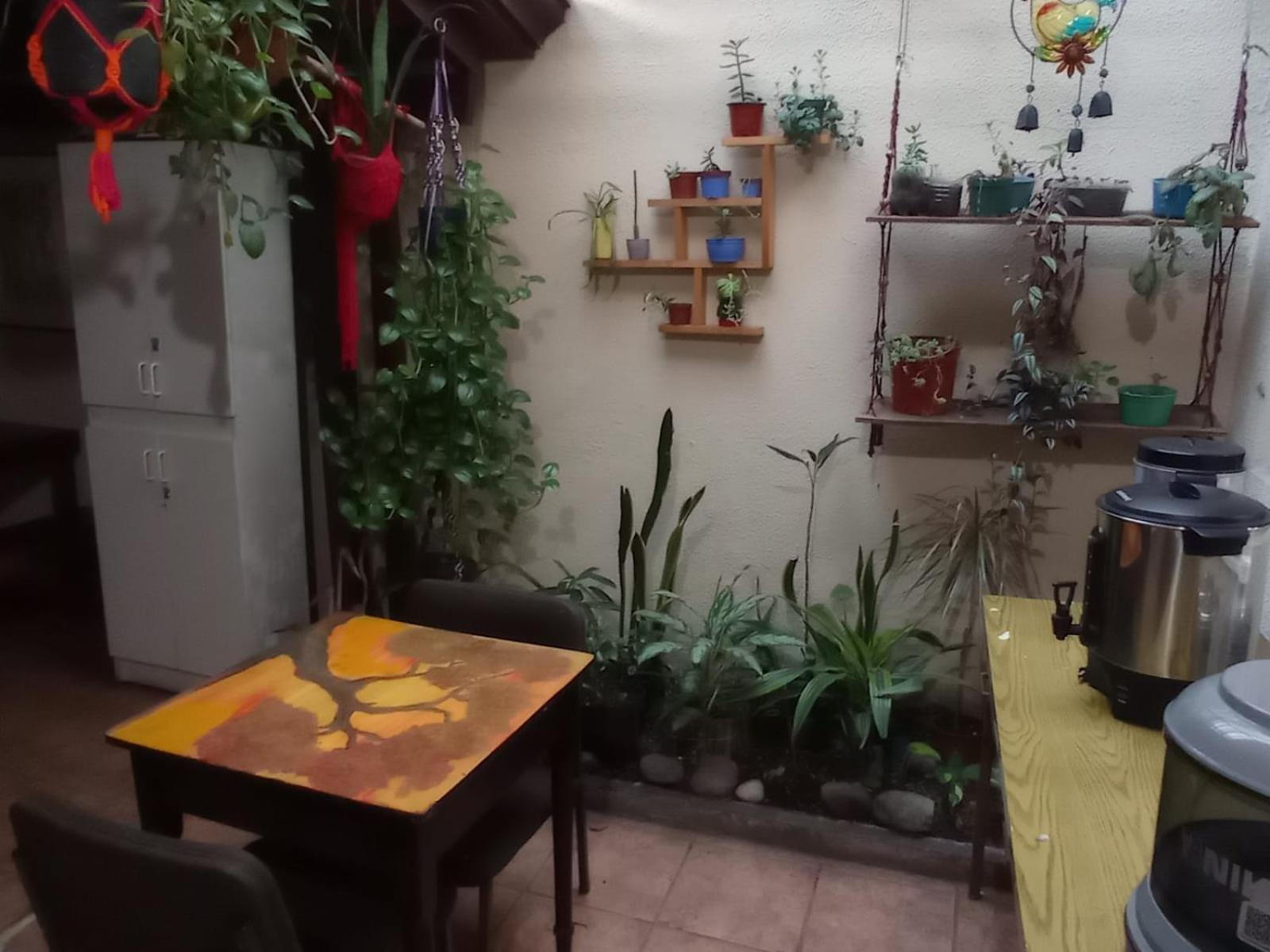 Hostel Casa Ridgway 산호세 외부 사진