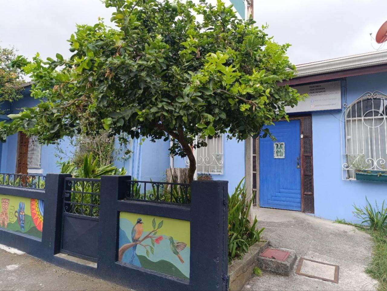 Hostel Casa Ridgway 산호세 외부 사진